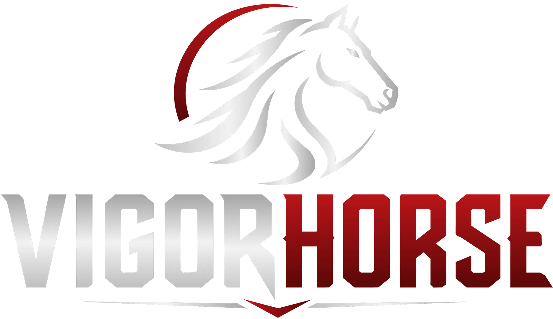 The VigorHorse brand wordmark supplied with the product pack